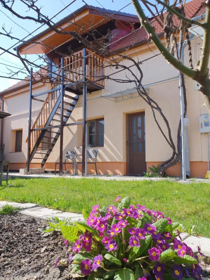 Lavender Apartments Sanpetru Екстер'єр фото